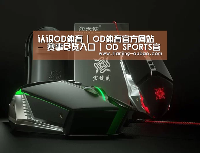 鼠标封面设计
