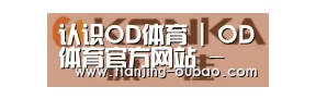 康佳